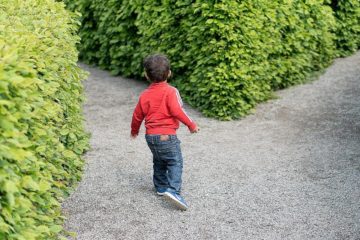 La difficulté de choisir