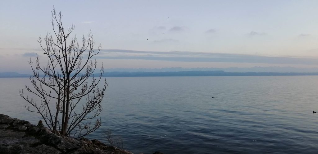 Au bord du Lac de Neuchâtel