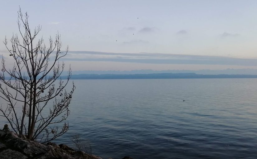 Au bord du Lac de Neuchâtel