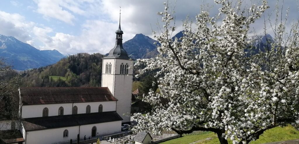 Eglise St Théodule de Gruyères (FR)
